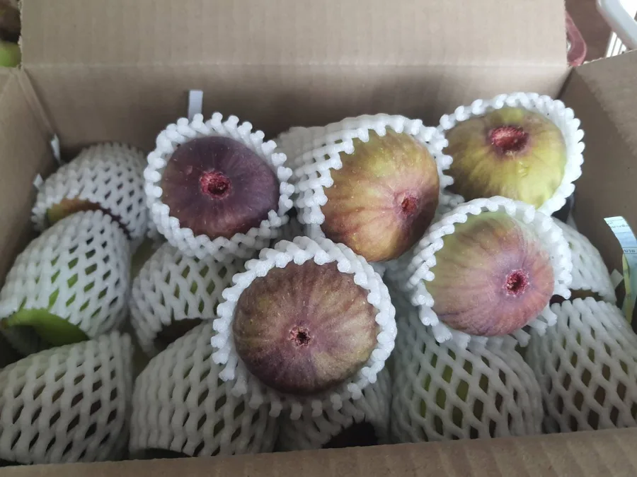 Figs wrapped one by one in foam nets inside the shipping box