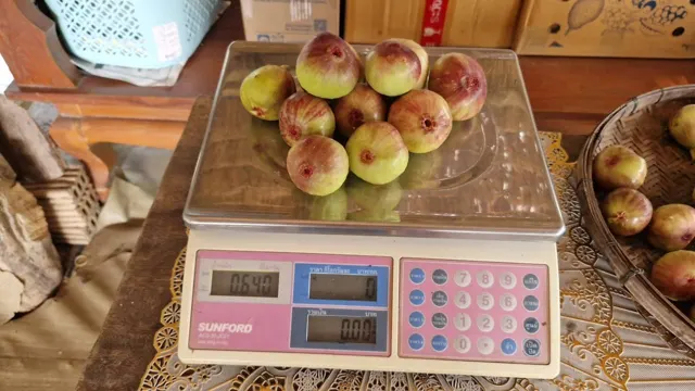 Everyday Fresh Figs, real photo