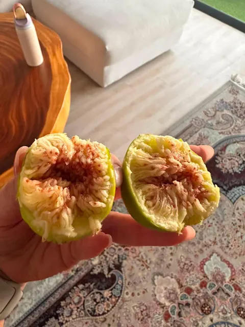 Everyday Fresh Figs, real photo