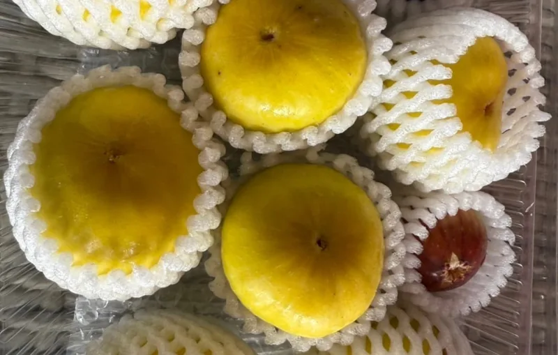 Yellow figs, packed and ready