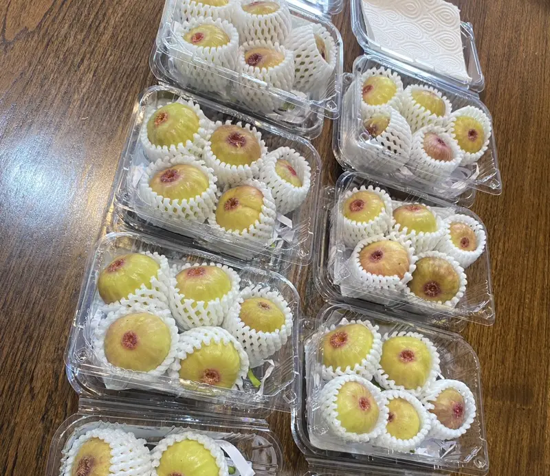 Wrapped one by one in clear trays