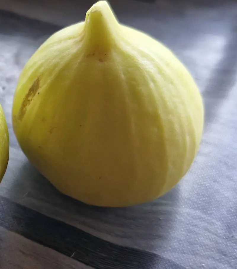 A ripe yellow fig, up close